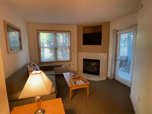 123 Center St Unit 101, Lake Geneva, WI 53147 - carpeted living room with plenty of natural light, a wall mounted AC, and a fireplace