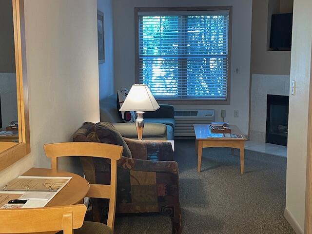 123 Center St Unit 101, Lake Geneva, WI 53147 - carpeted living room featuring a wall mounted AC
