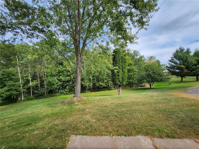 1451 90th Ave, Amery, WI 54001 - view of grassy yard