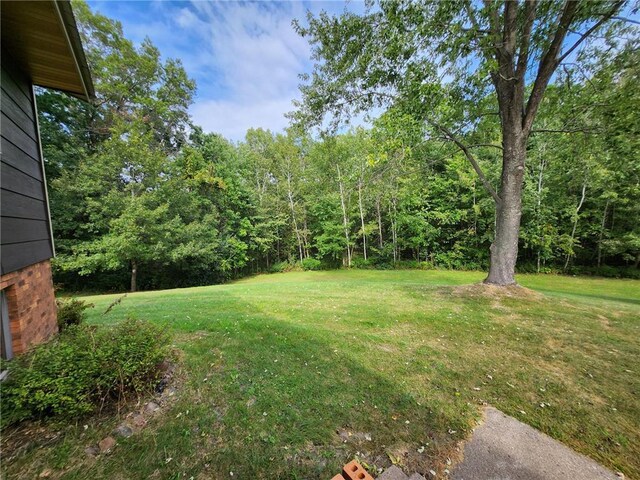 1451 90th Ave, Amery, WI 54001 - view of green lawn featuring a wooded view