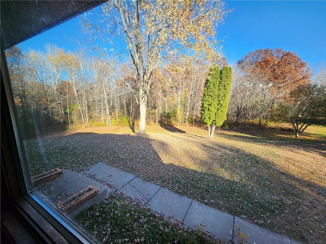 1451 90th Ave, Amery, WI 54001 - view of yard
