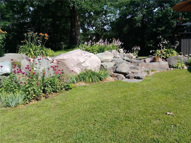 1451 90th Ave, Amery, WI 54001 - view of green lawn