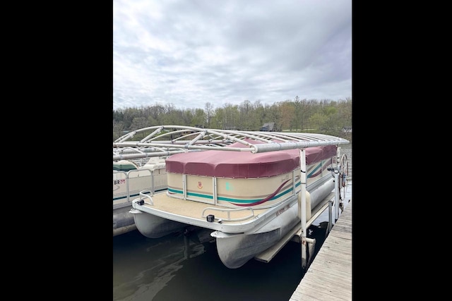 21701 259th St, Delhi, IA 52223 - dock area featuring boat lift