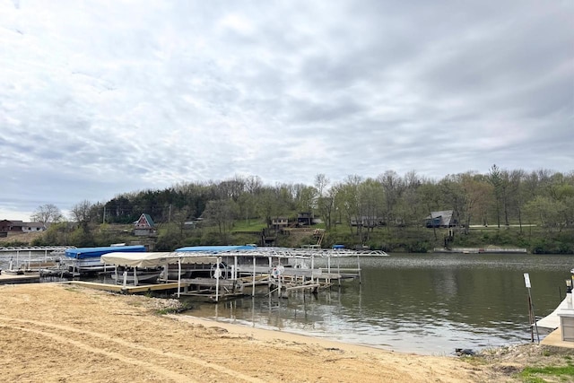 21701 259th St, Delhi, IA 52223 - dock featuring a water view and boat lift