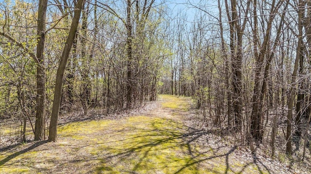 2780 Humboldt Rd, Green Bay, WI 54311 - view of woods