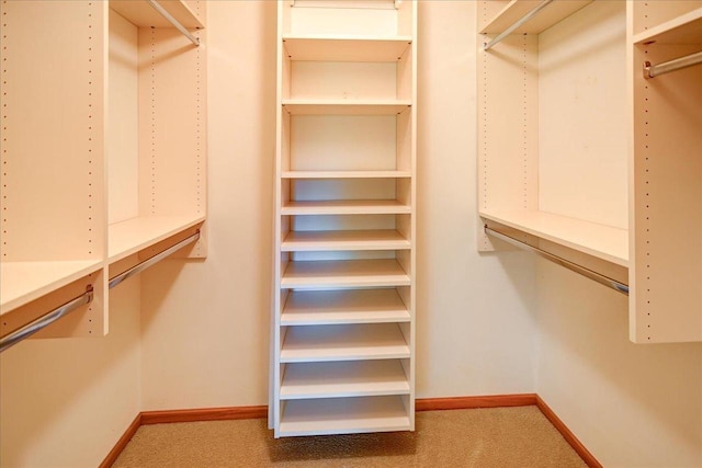 7910 N Brookline Dr, Madison, WI 53719 - spacious closet with carpet flooring