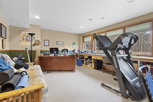 1229 Riverwood Ln, Sobieski, WI 02413 - office area with carpet and recessed lighting