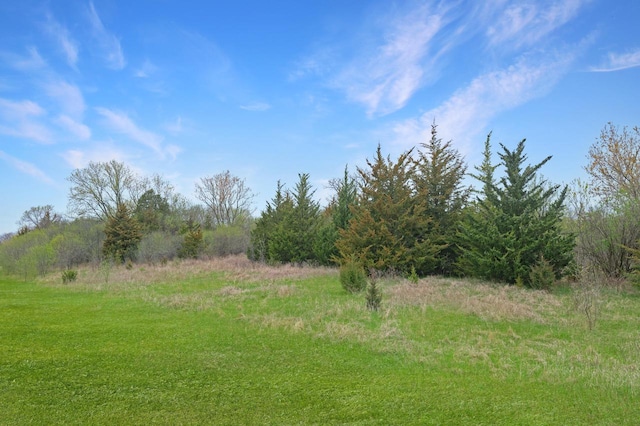 LT1 Lisbon Ave, Hartland, WI 53029