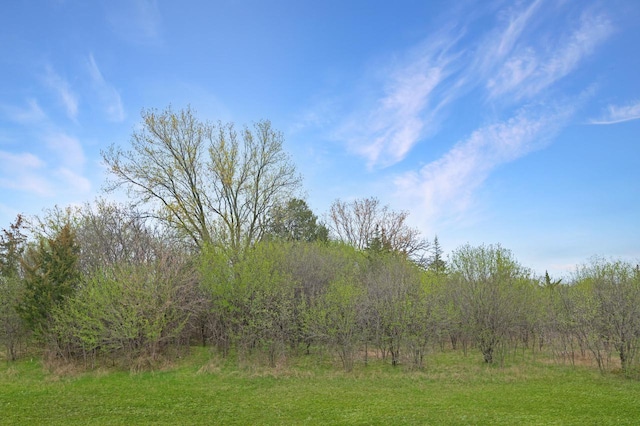 LT1 Lisbon Ave, Hartland, WI 53029