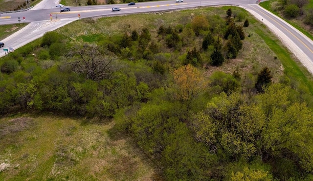 LT1 Lisbon Ave, Hartland, WI 53029