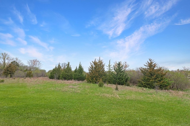 LT1 Lisbon Ave, Hartland, WI 53029