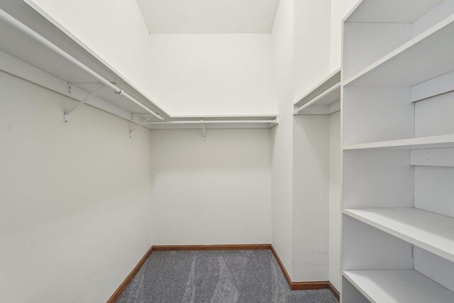 1116 Redwood Ct, Delavan, WI 53115 - walk in closet with carpet flooring