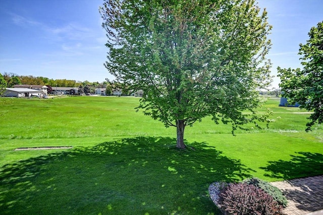 717 Larvik Ln, Stoughton, WI 53589 - view of green lawn