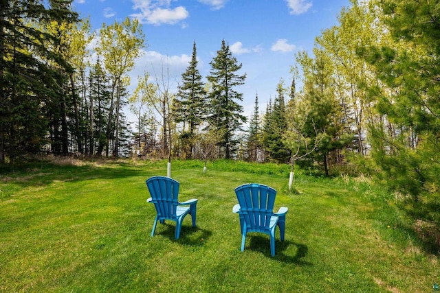 87985 Bark Point Rd, Herbster, WI 54844 - view of green lawn