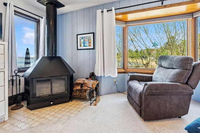 111 Rolphs Point Dr, Shell Lake, WI 54871 - sitting room with a wood stove, carpet flooring, and wood walls