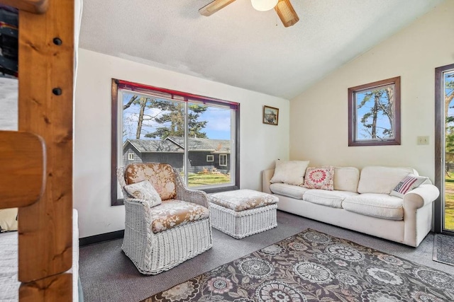111 Rolphs Point Dr, Shell Lake, WI 54871 - living room featuring lofted ceiling, carpet floors, a ceiling fan, and a textured ceiling