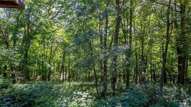 4221 Lassek Ct, Eau Claire, WI 54703 - view of wooded area