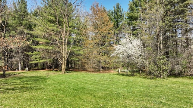 9027 W County Road D, Holcombe, WI 54745 - view of grassy yard featuring a forest view