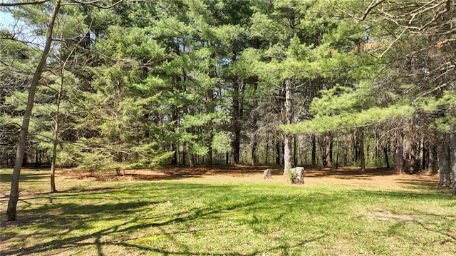 9027 W County Road D, Holcombe, WI 54745 - view of green lawn with a forest view