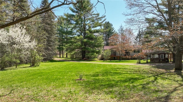 9027 W County Road D, Holcombe, WI 54745 - view of grassy yard with a gazebo