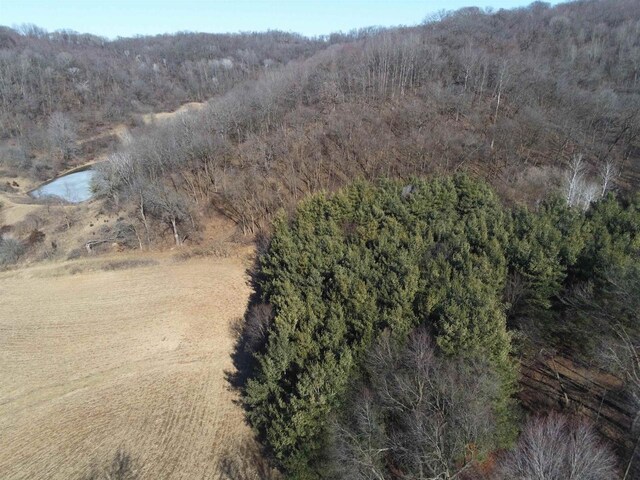 65.61AC Paulus Rd, Spring Green, WI 54588