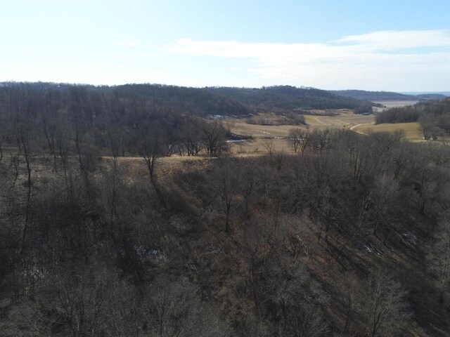 65.61AC Paulus Rd, Spring Green, WI 54588