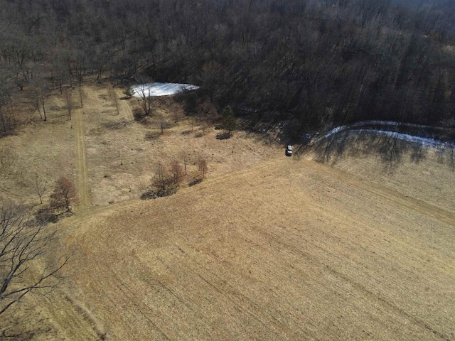 65.61AC Paulus Rd, Spring Green, WI 54588