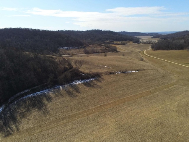 65.61AC Paulus Rd, Spring Green, WI 54588