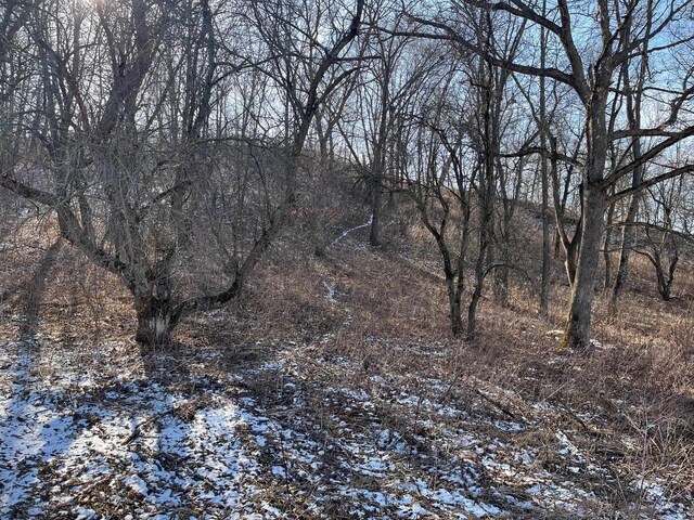 65.61AC Paulus Rd, Spring Green, WI 54588