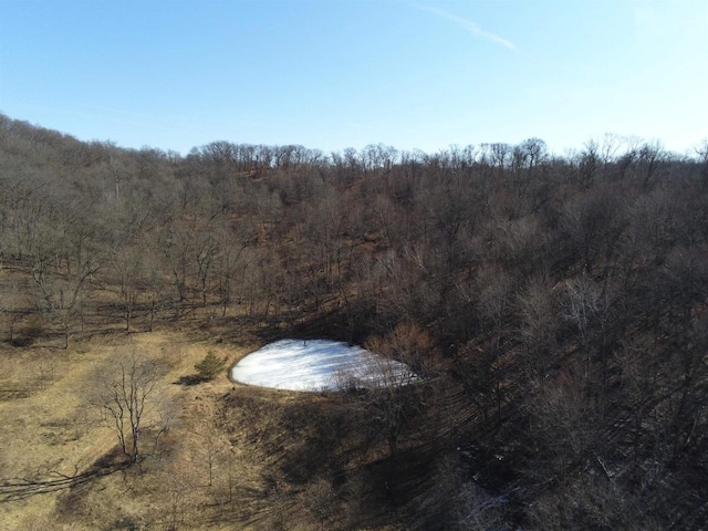 65.61AC Paulus Rd, Spring Green, WI 54588