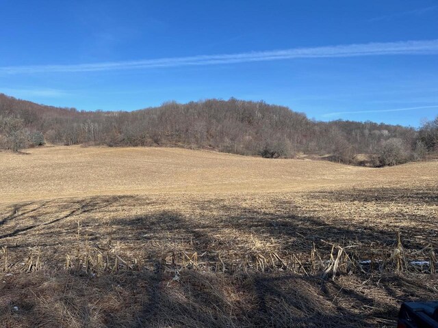 65.61AC Paulus Rd, Spring Green, WI 54588