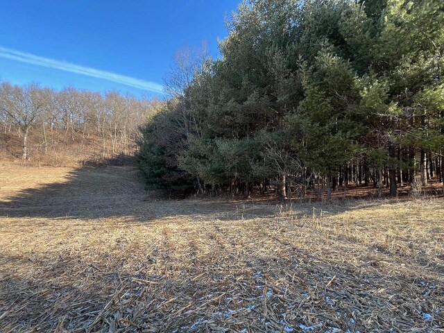 65.61AC Paulus Rd, Spring Green, WI 54588