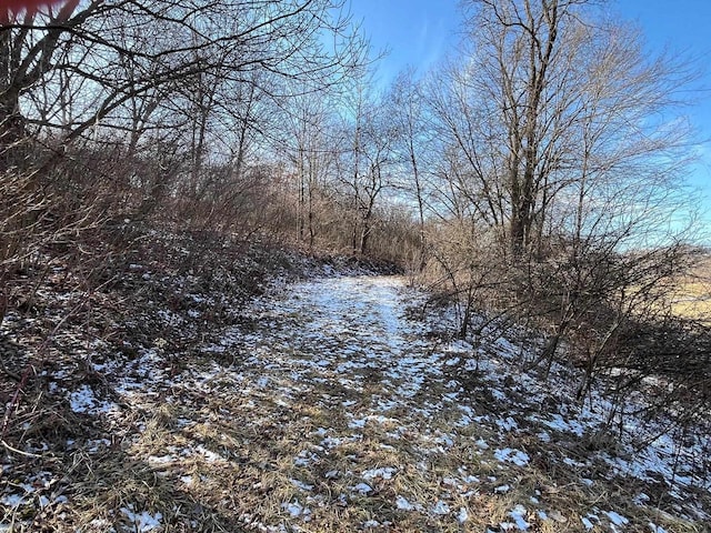 65.61AC Paulus Rd, Spring Green, WI 54588