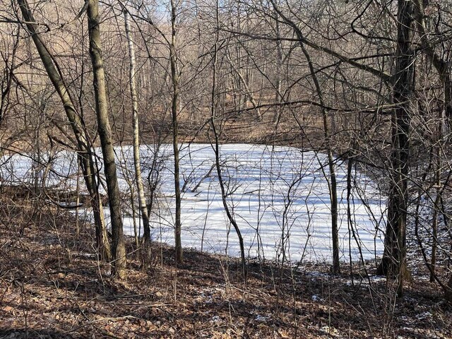 65.61AC Paulus Rd, Spring Green, WI 54588