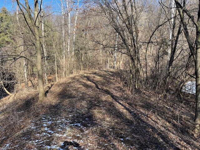 65.61AC Paulus Rd, Spring Green, WI 54588
