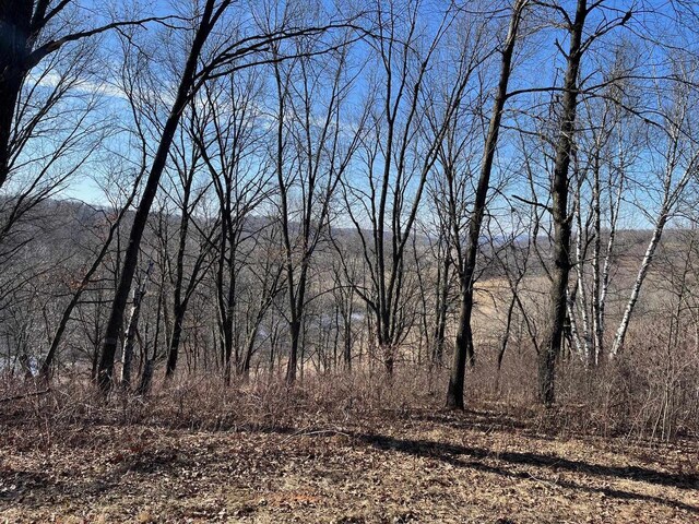 65.61AC Paulus Rd, Spring Green, WI 54588