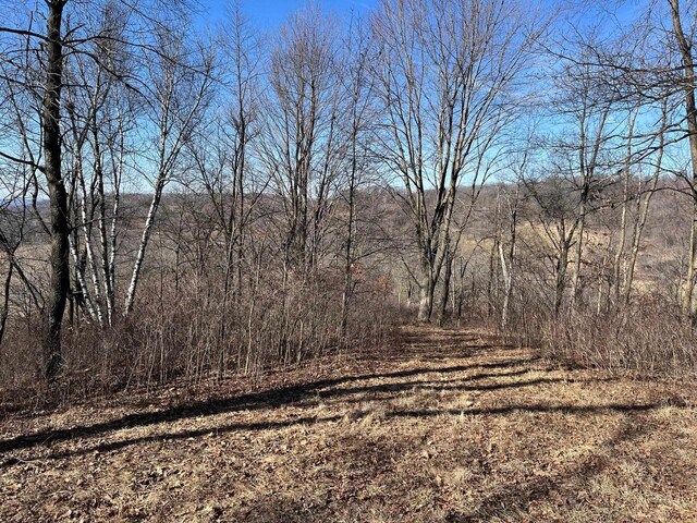 65.61AC Paulus Rd, Spring Green, WI 54588
