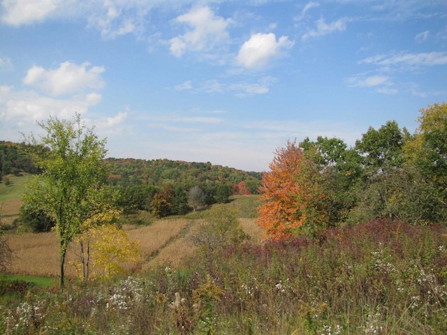 65.61AC Paulus Rd, Spring Green, WI 54588