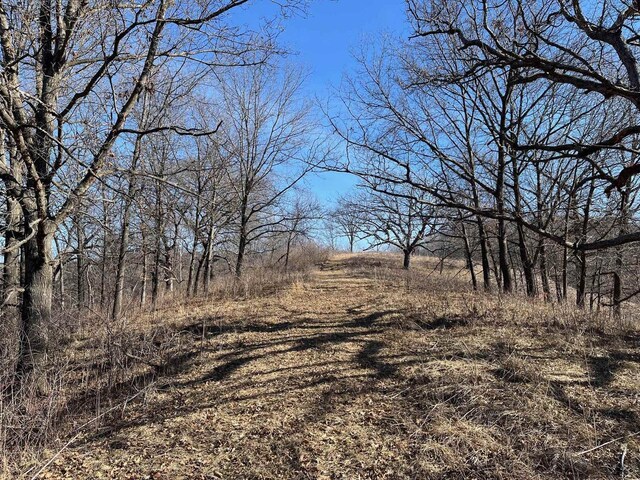 65.61AC Paulus Rd, Spring Green, WI 54588