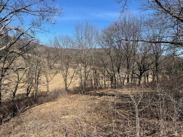 65.61AC Paulus Rd, Spring Green, WI 54588
