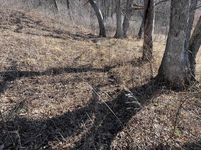 65.61AC Paulus Rd, Spring Green, WI 54588