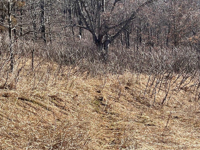 65.61AC Paulus Rd, Spring Green, WI 54588