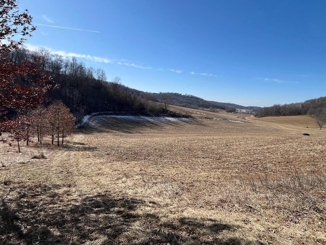 65.61AC Paulus Rd, Spring Green, WI 54588