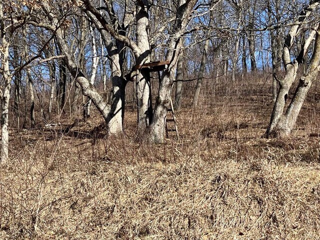 65.61AC Paulus Rd, Spring Green, WI 54588