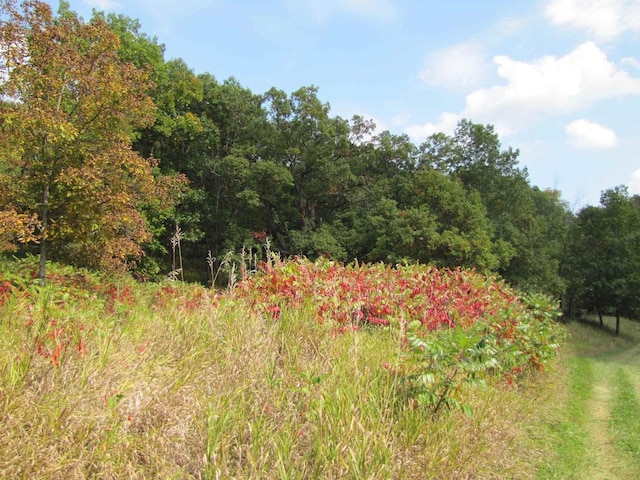 65.61AC Paulus Rd, Spring Green, WI 54588