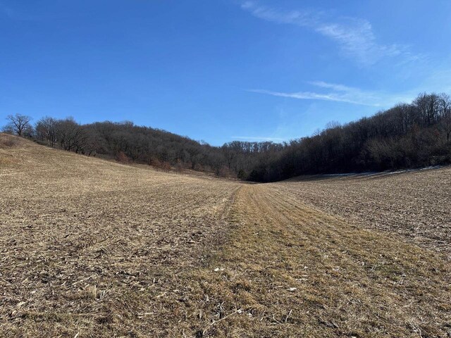65.61AC Paulus Rd, Spring Green, WI 54588