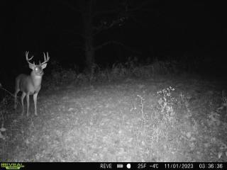 65.61AC Paulus Rd, Spring Green, WI 54588