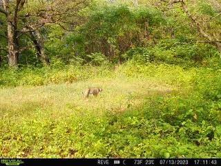 65.61AC Paulus Rd, Spring Green, WI 54588