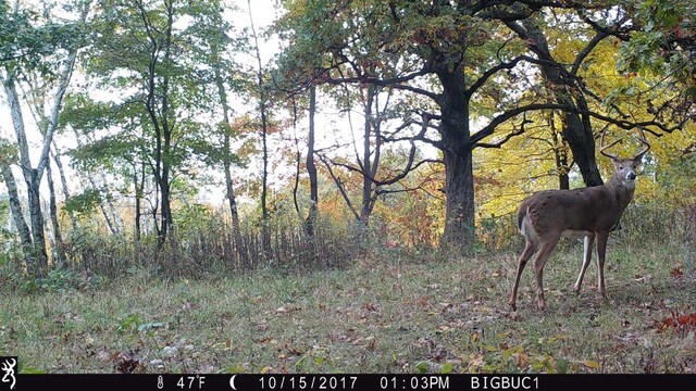 65.61AC Paulus Rd, Spring Green, WI 54588