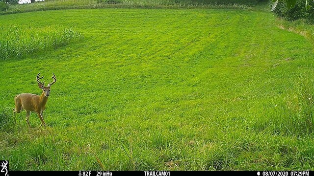 65.61AC Paulus Rd, Spring Green, WI 54588